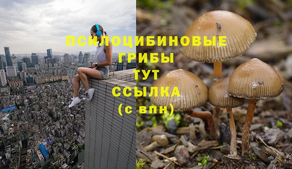 скорость Алексин