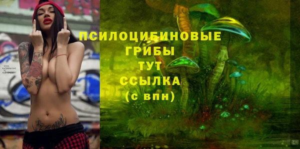 скорость Алексин