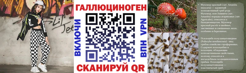Галлюциногенные грибы Psilocybe Оленегорск